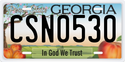GA license plate CSN0530