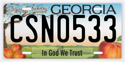 GA license plate CSN0533