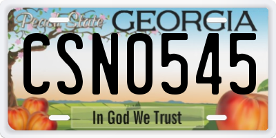 GA license plate CSN0545