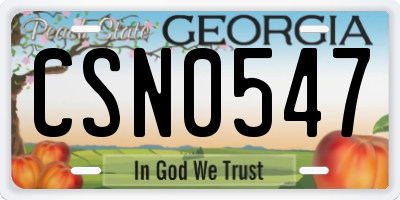 GA license plate CSN0547