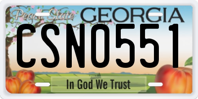 GA license plate CSN0551