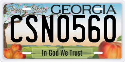 GA license plate CSN0560
