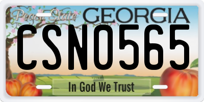 GA license plate CSN0565