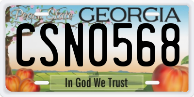 GA license plate CSN0568