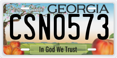 GA license plate CSN0573