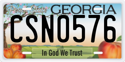 GA license plate CSN0576