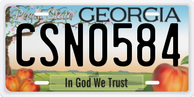 GA license plate CSN0584