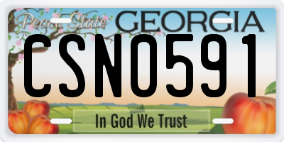 GA license plate CSN0591