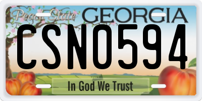 GA license plate CSN0594