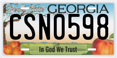 GA license plate CSN0598