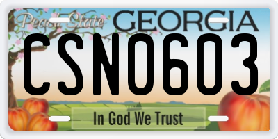 GA license plate CSN0603