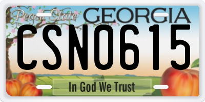 GA license plate CSN0615