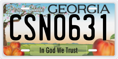 GA license plate CSN0631