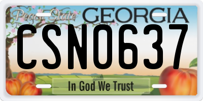 GA license plate CSN0637