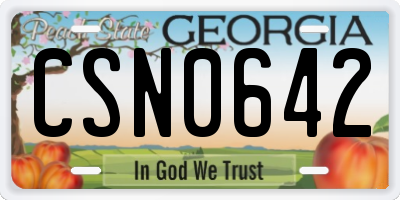 GA license plate CSN0642