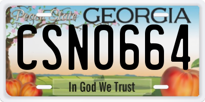 GA license plate CSN0664