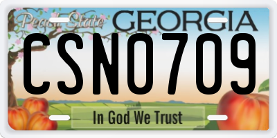 GA license plate CSN0709