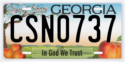 GA license plate CSN0737