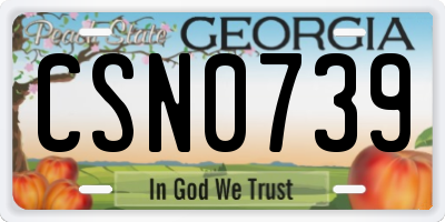 GA license plate CSN0739