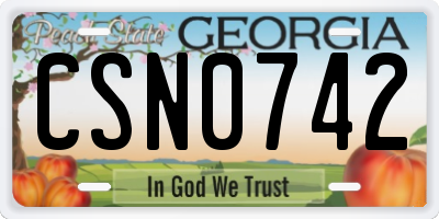 GA license plate CSN0742