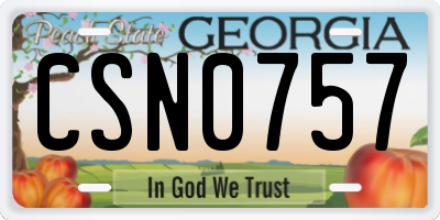 GA license plate CSN0757