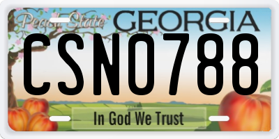GA license plate CSN0788