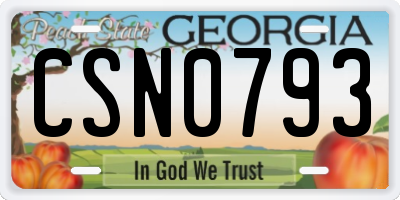 GA license plate CSN0793