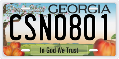GA license plate CSN0801
