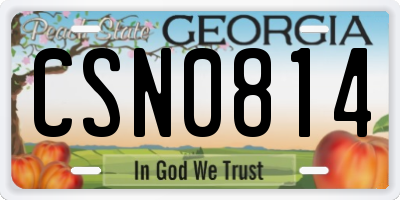 GA license plate CSN0814