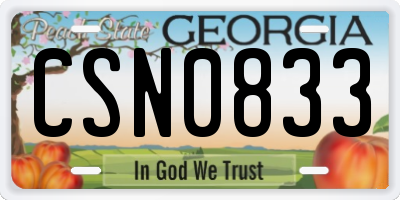 GA license plate CSN0833