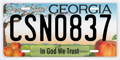 GA license plate CSN0837