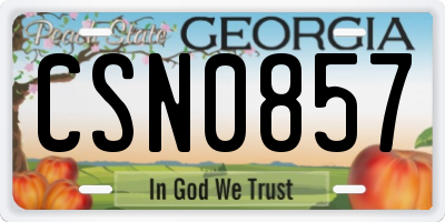 GA license plate CSN0857