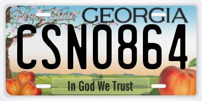 GA license plate CSN0864