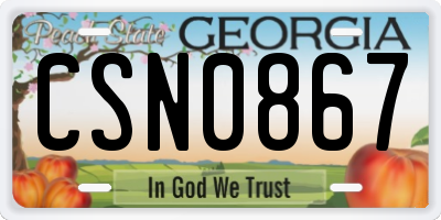 GA license plate CSN0867
