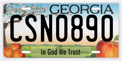 GA license plate CSN0890