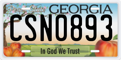 GA license plate CSN0893