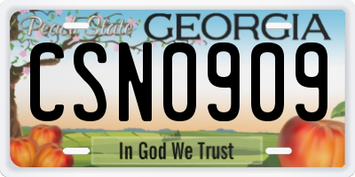 GA license plate CSN0909