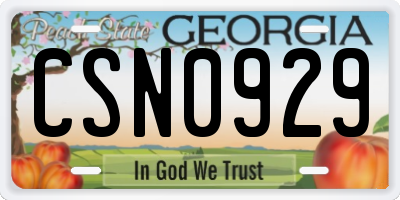 GA license plate CSN0929