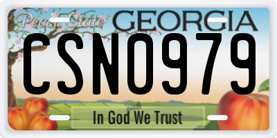 GA license plate CSN0979
