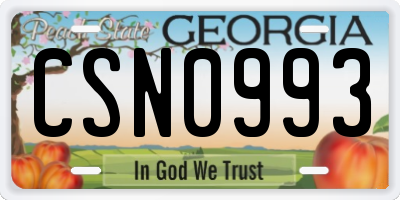 GA license plate CSN0993