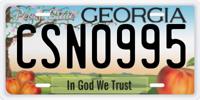 GA license plate CSN0995