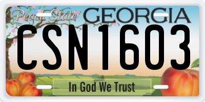GA license plate CSN1603