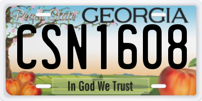 GA license plate CSN1608
