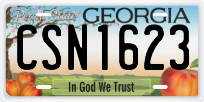 GA license plate CSN1623
