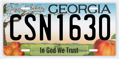 GA license plate CSN1630