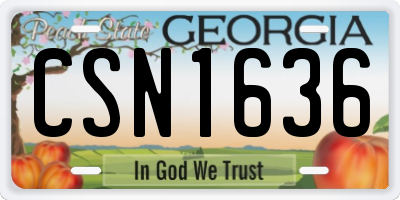 GA license plate CSN1636