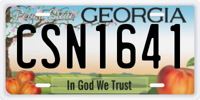 GA license plate CSN1641