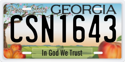 GA license plate CSN1643