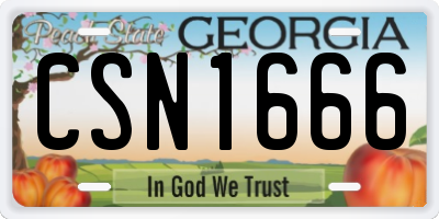 GA license plate CSN1666
