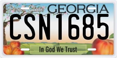 GA license plate CSN1685